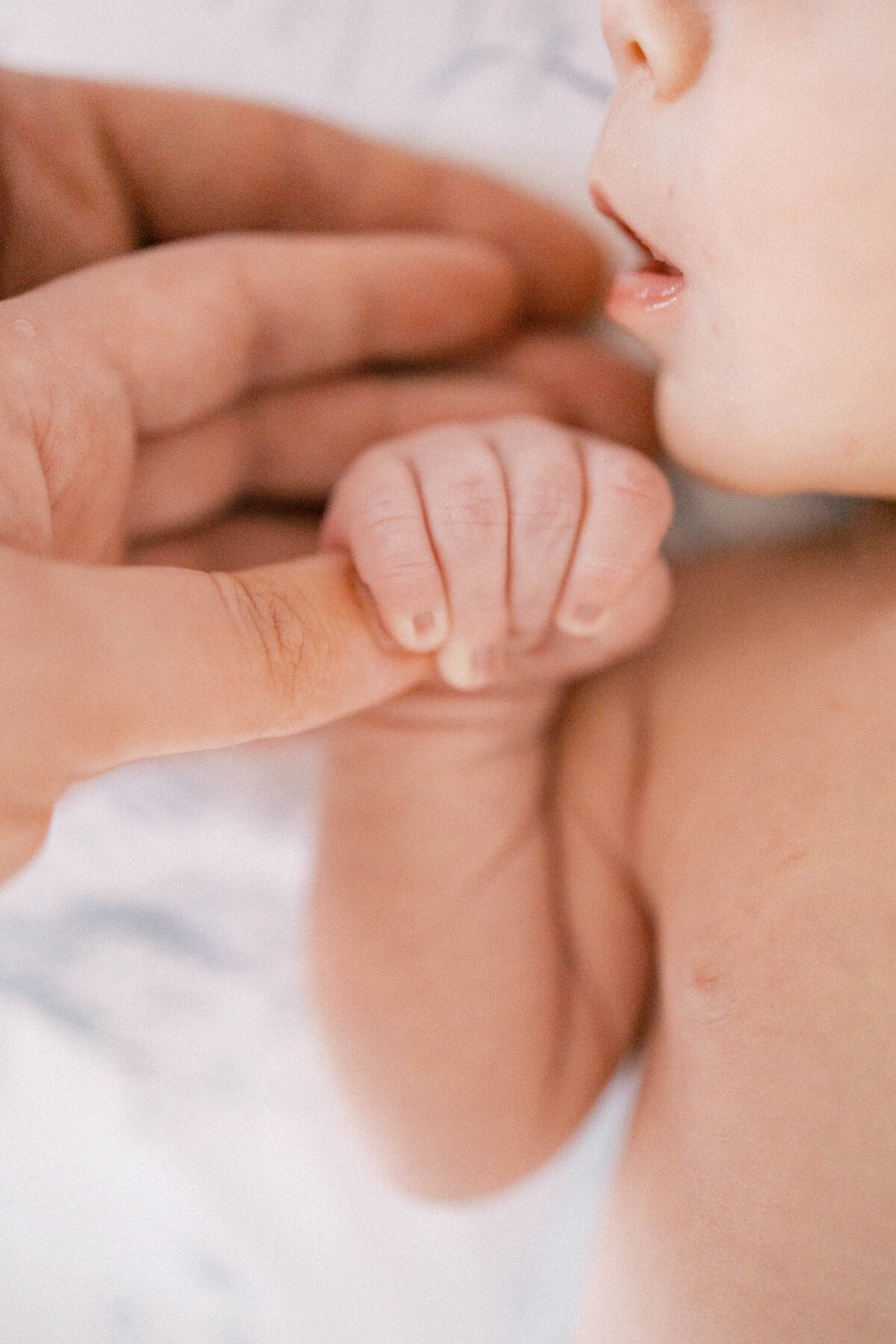 Knoxville Newborn Photographer -9277