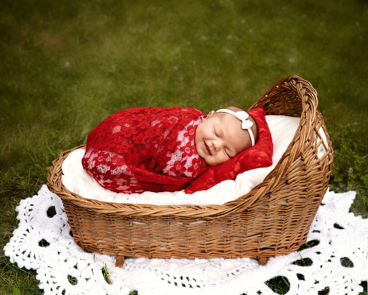 Out door session of young baby sleeping in a basket in  park.