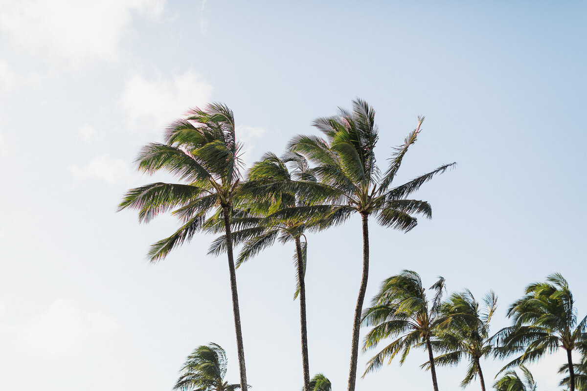 Kauai-Elopement-photography-25