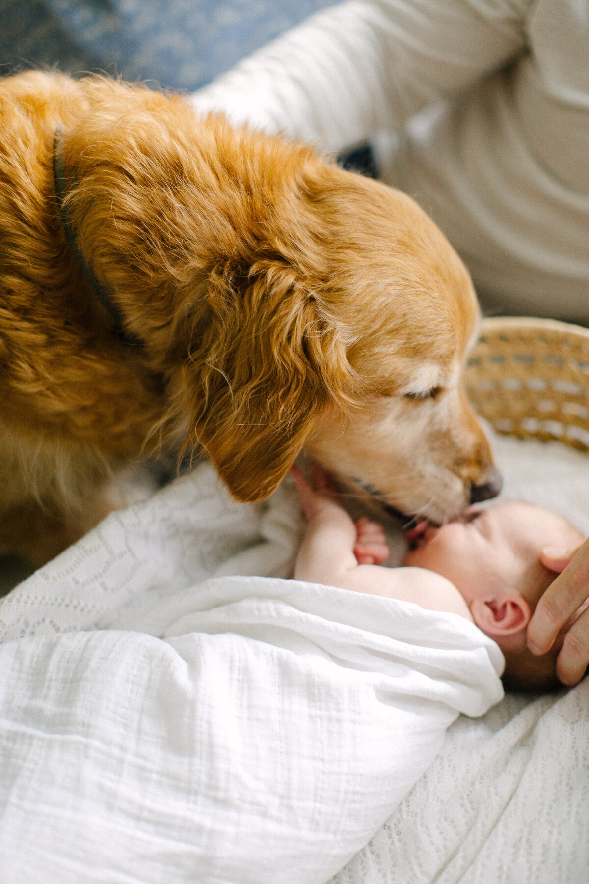 Morrill-Newborn-Previews-10