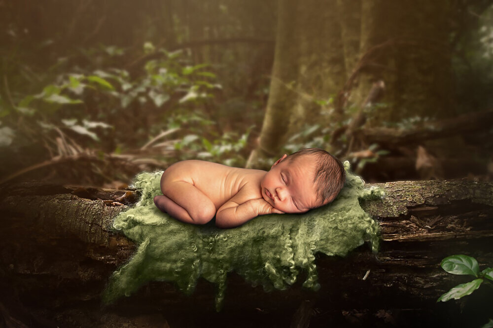 Newborn in a forest