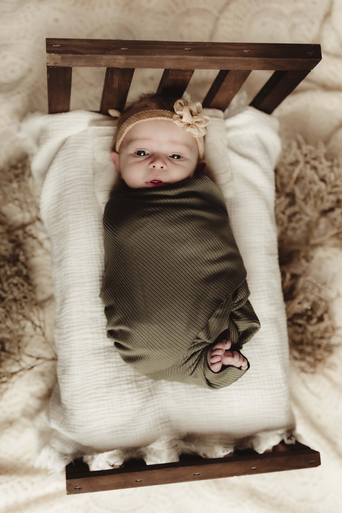 studio-newborn-posed-katey-sutton-photo-missouri