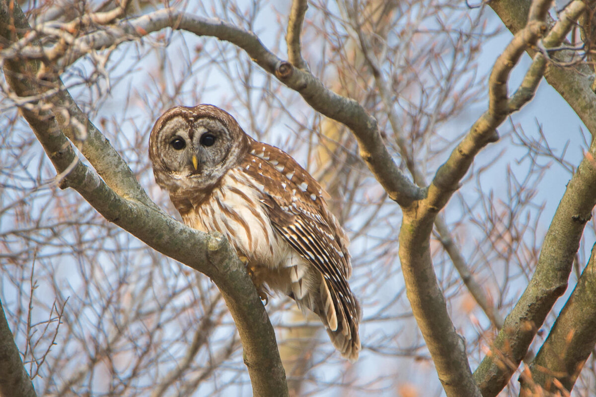 DSC_6352ed_web