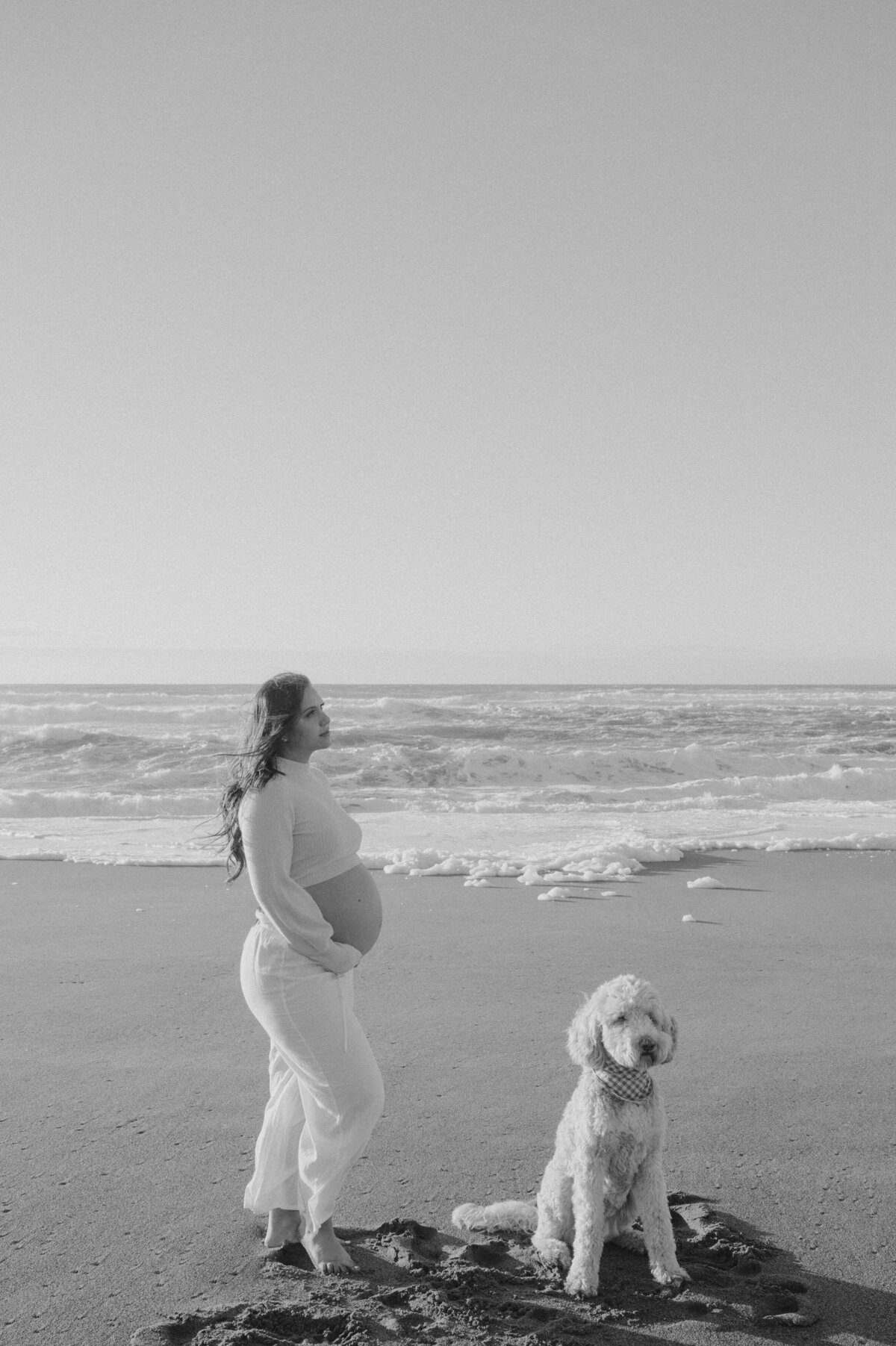 point-reyes-maternity-session