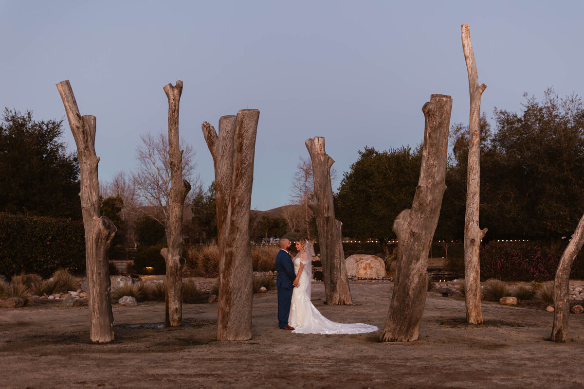 four-percent-photo-wedding-elopement-souther-california-temecula-oc-sd-redlands-531