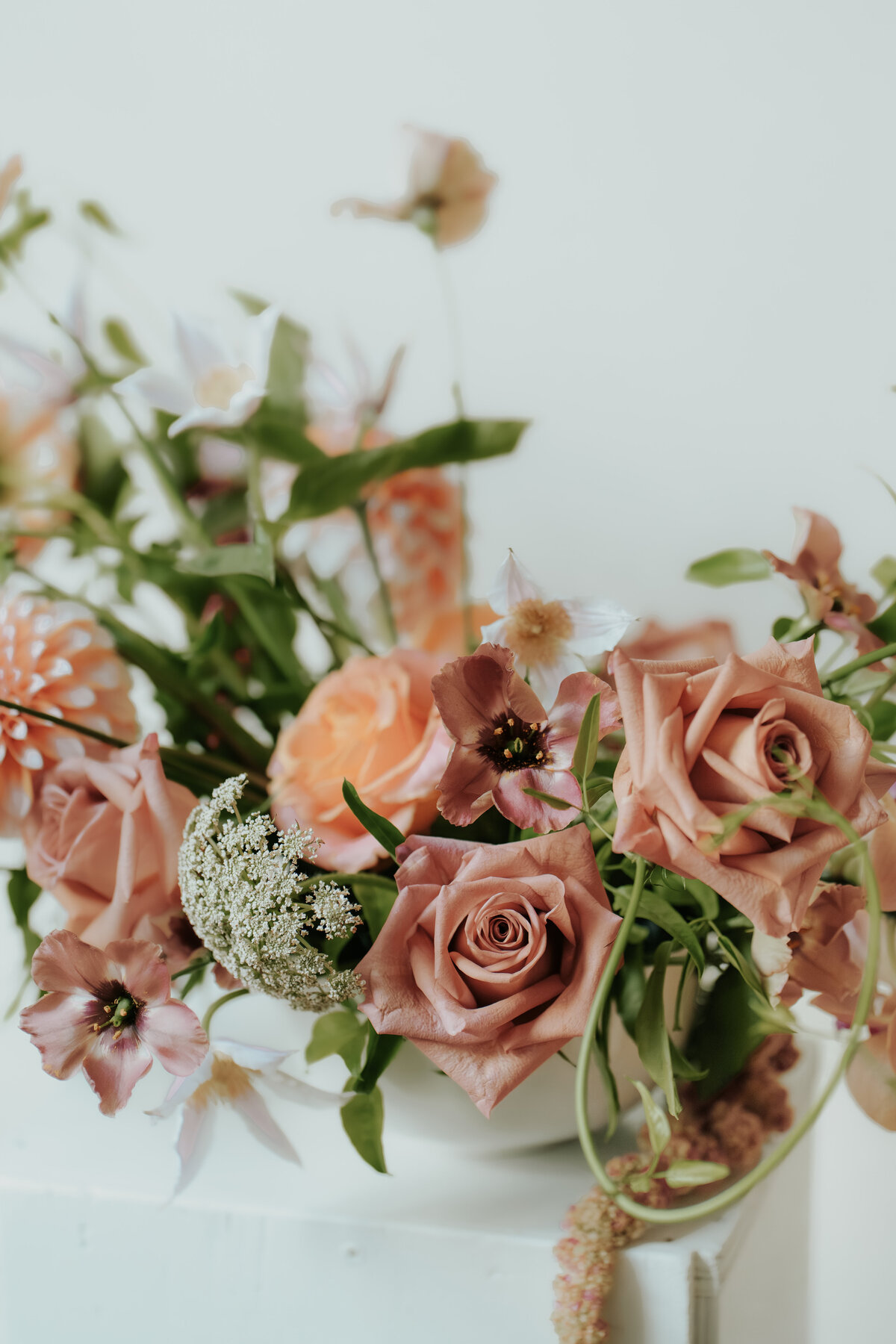 heimat_wildflowers_ karlien-17