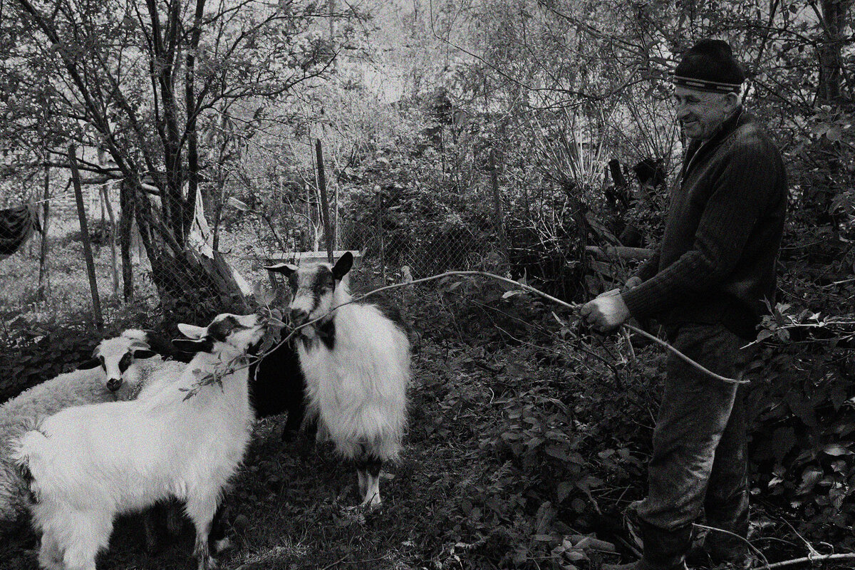 Bart Van der Moeren - Maramures - 023