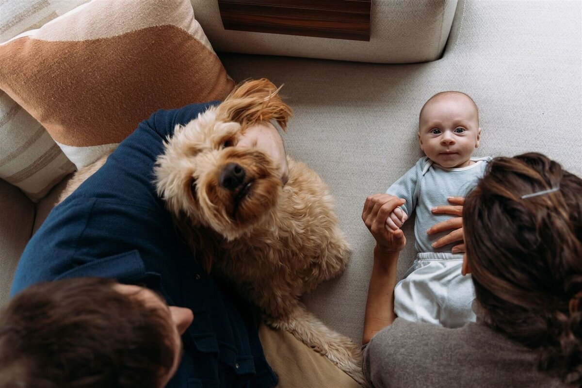 Family Photographer, a mother and father sit on their home floor with baby and dog