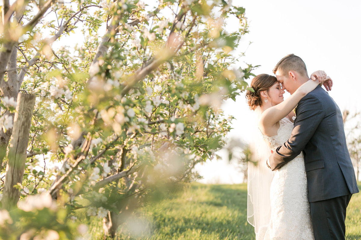 0109-Schwabe-Timberbarn-Wedding-JanaMarie