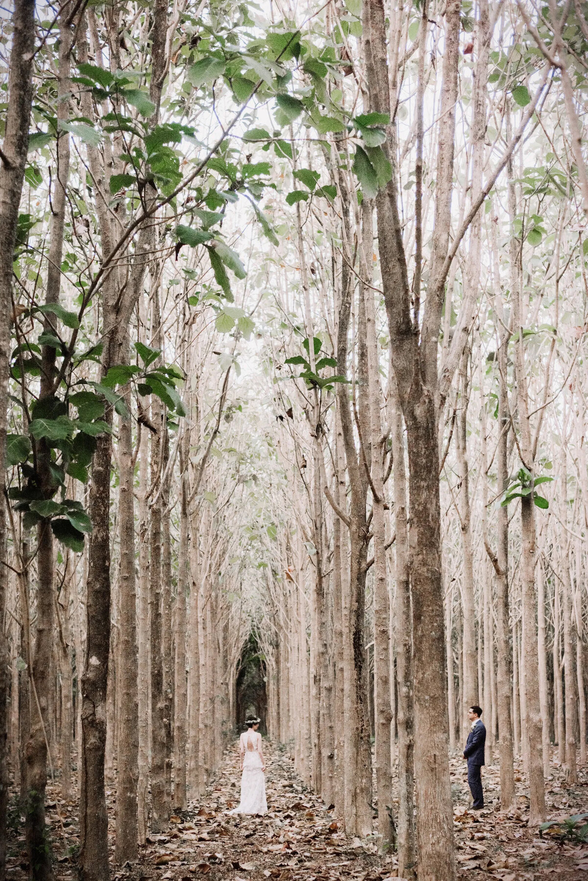 na_aina_kai_wedding_picture