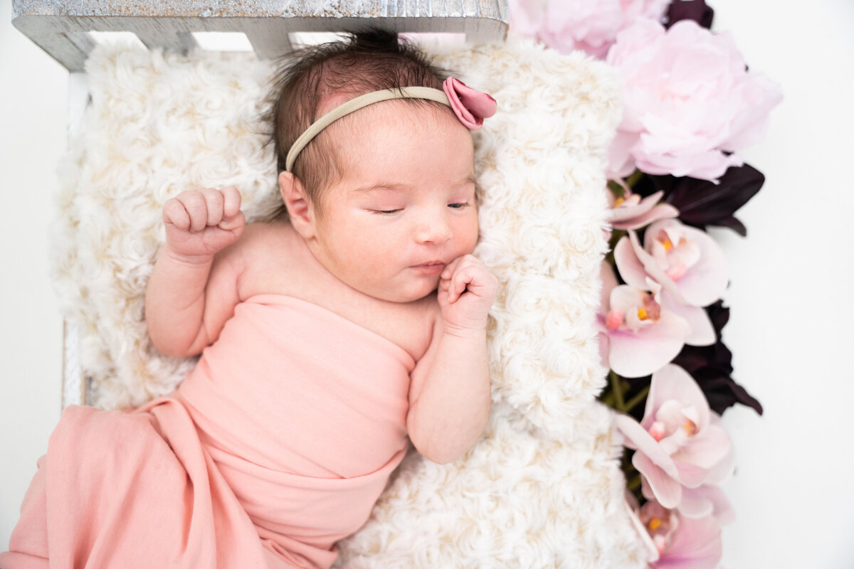 Pittsburhgh Newborn Photographer--Newborn Website Update-6