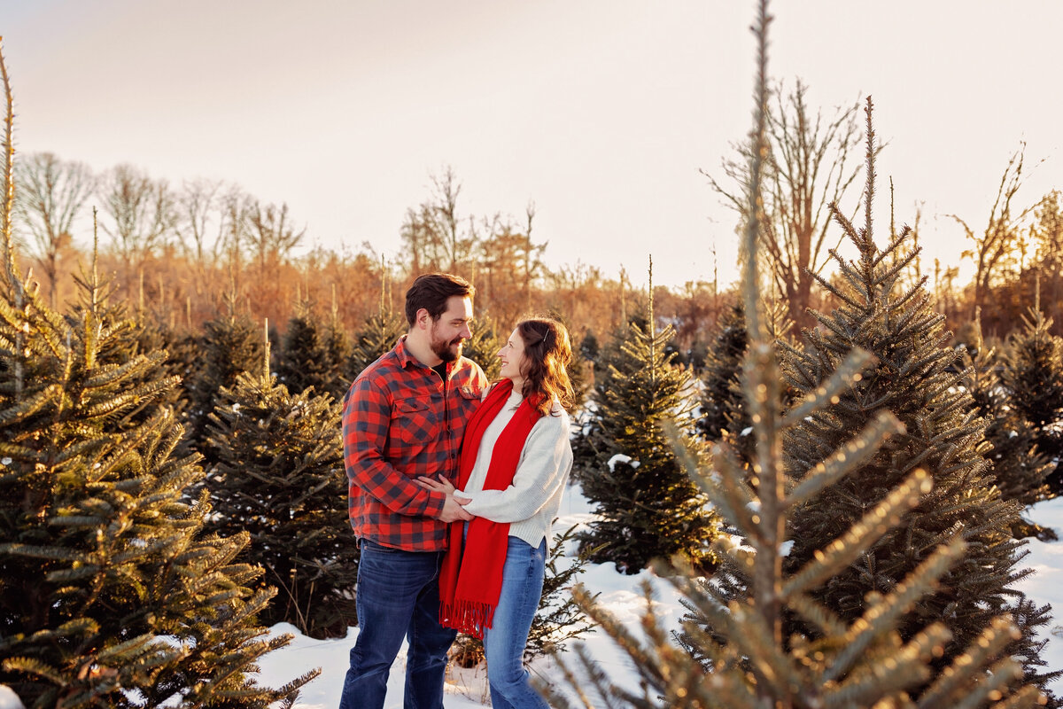 christmas-tree-farm-photos-cedarhill003