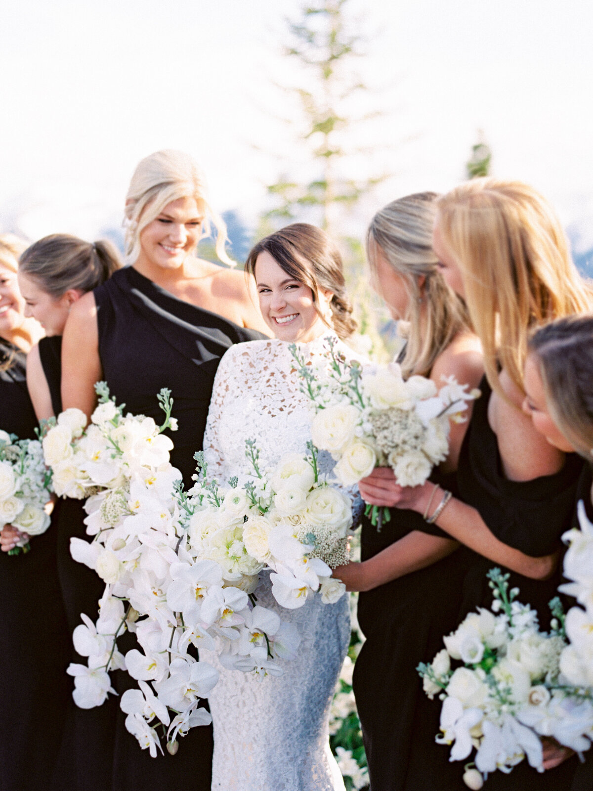 Taylor & Zach - Wedding-1593
