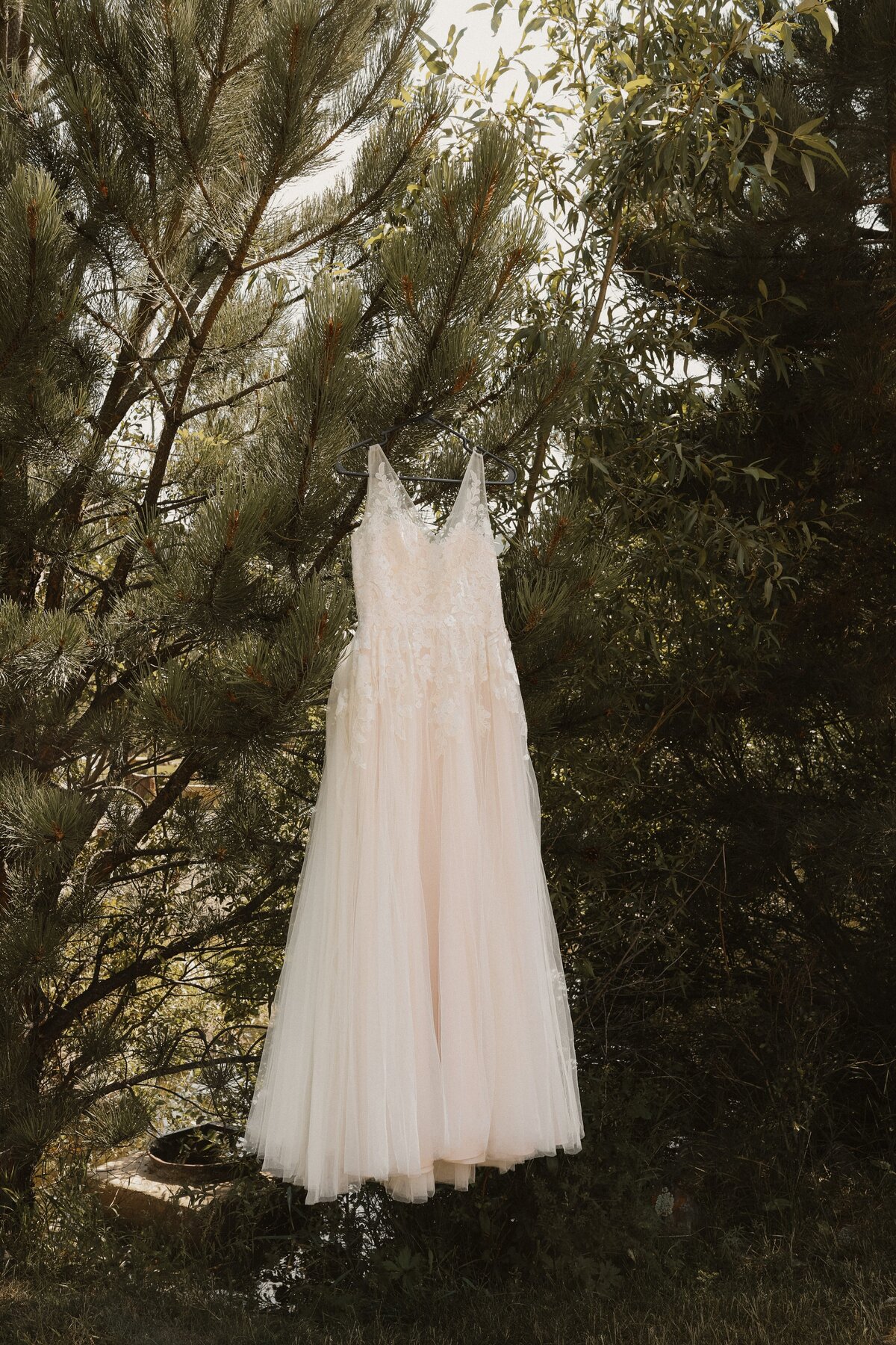 Colorado-wedding-photographer-and-videographer0G3A4082