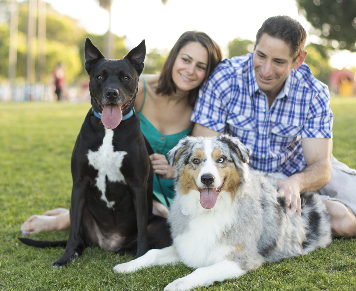 pet photography with family people