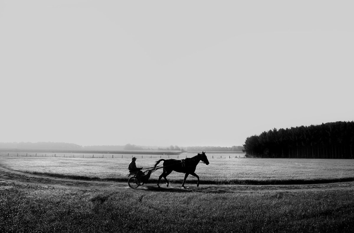 Bart Van der Moeren - De Stille Kempen - 057