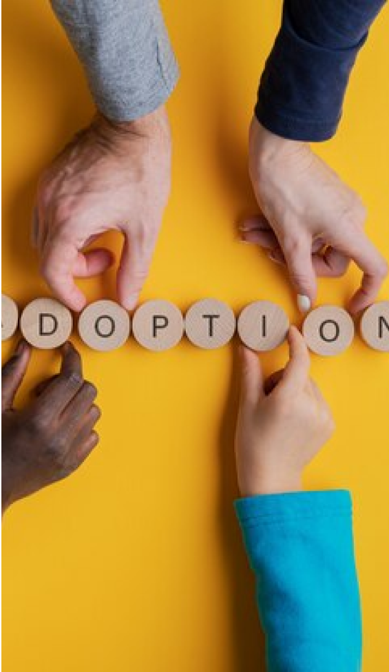 placeholder image 36