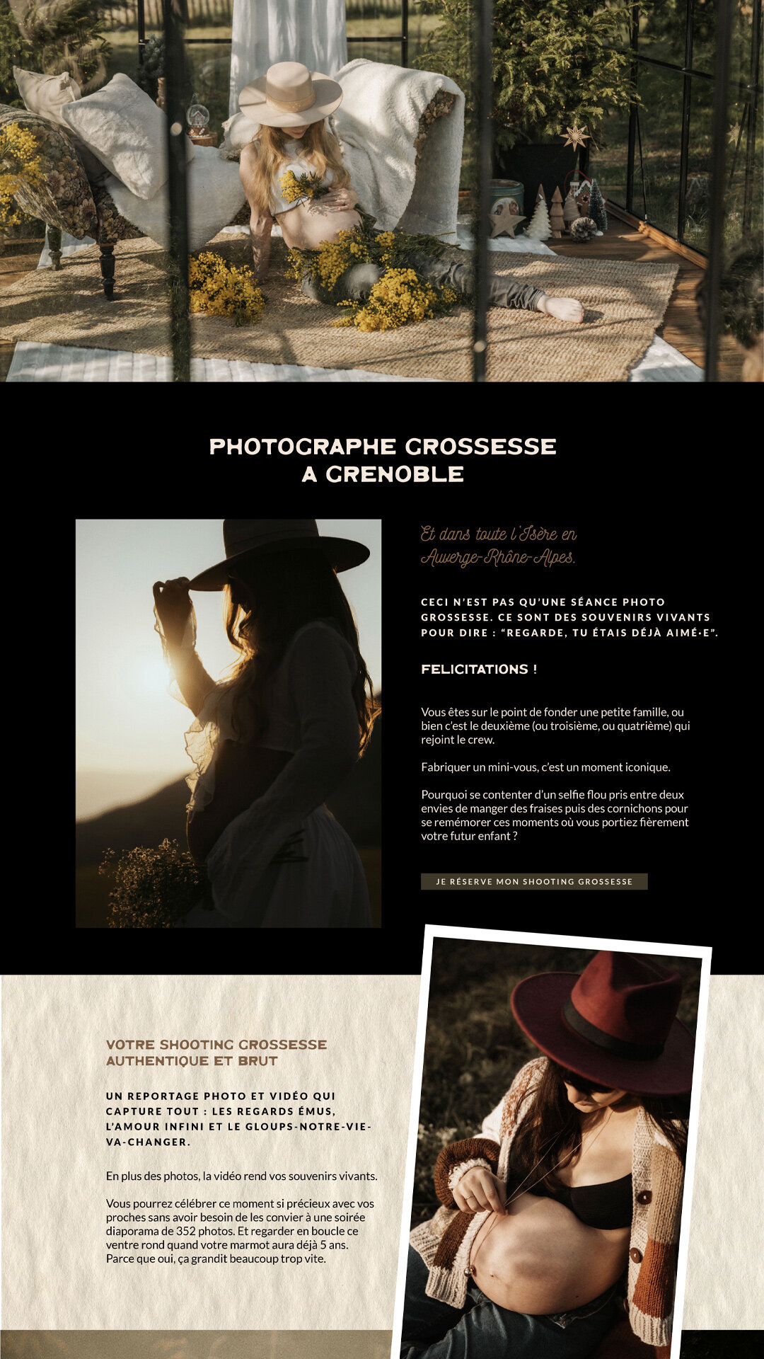 BudgieBandits_SiteWeb04