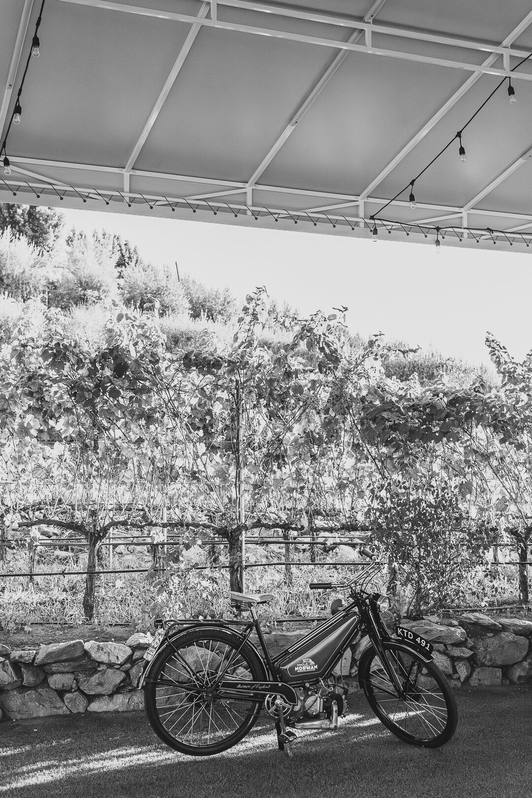 TheNormans-Wedding-Oct2023-WEB-28