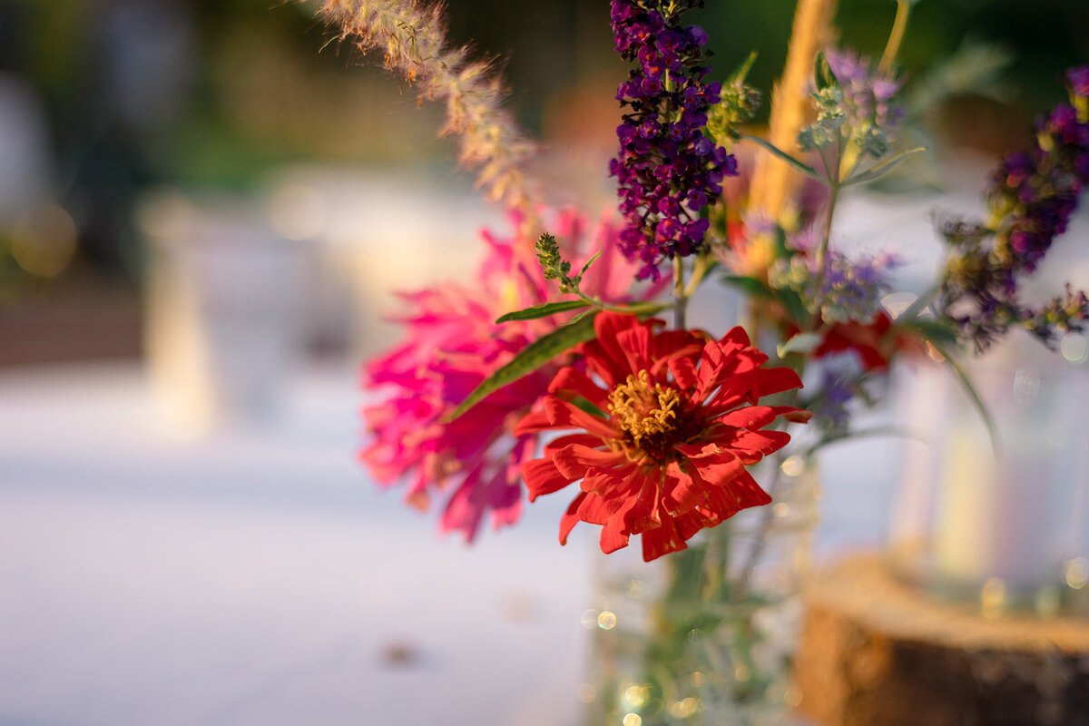 jentylerphotography family wedding engagement photos spokane washington