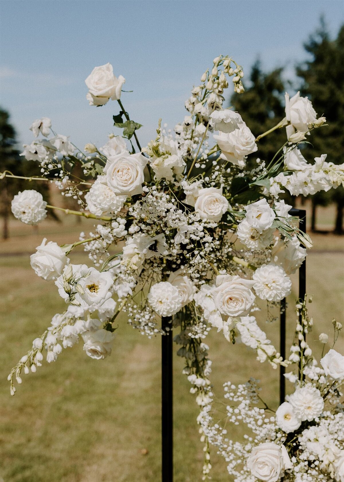 Wedding arch ideas