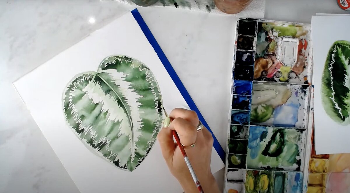 live-2021-06-23-calathea-leaf-2