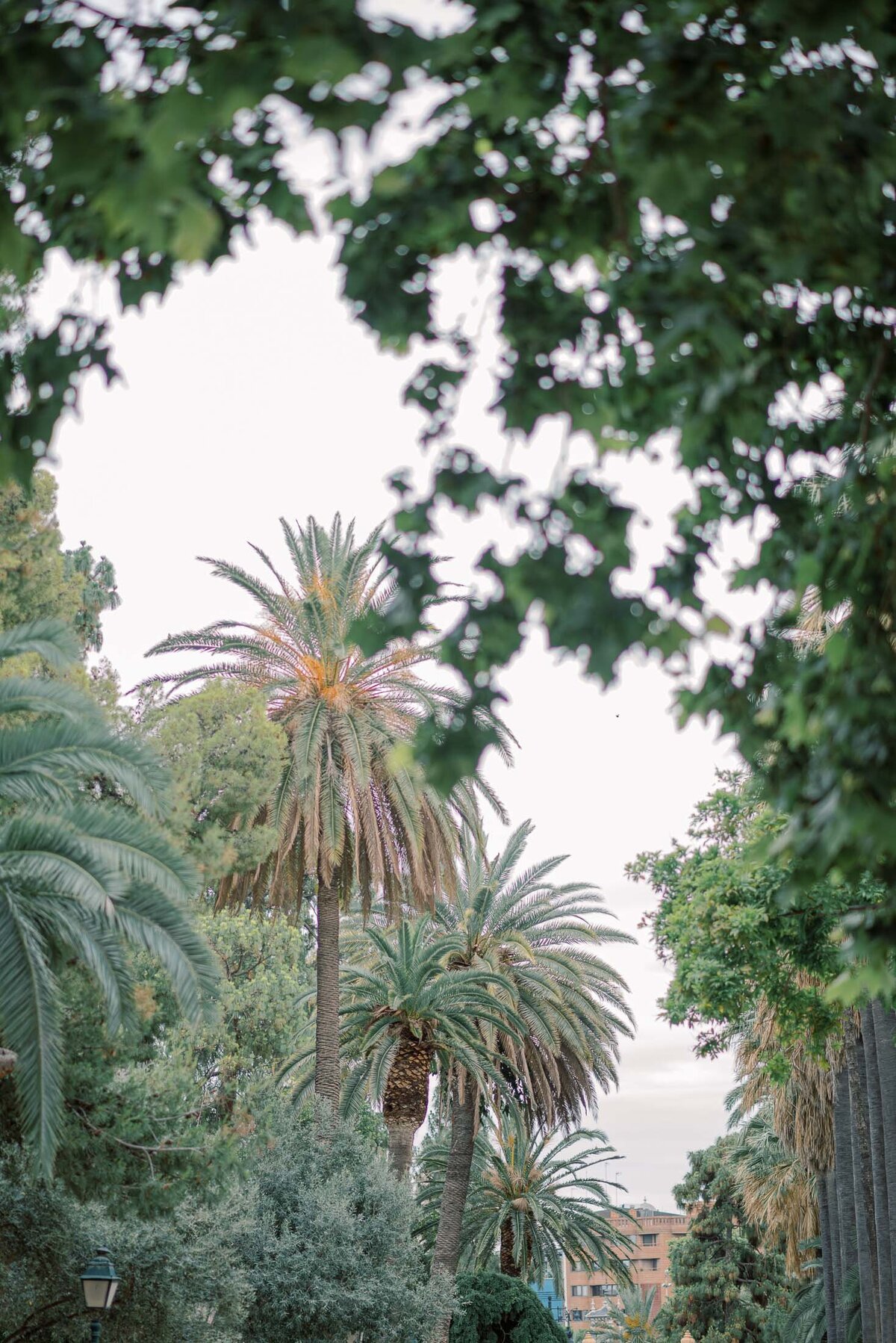 Vacation-Family-Photographer-Valencia-Viveros-Garden-26