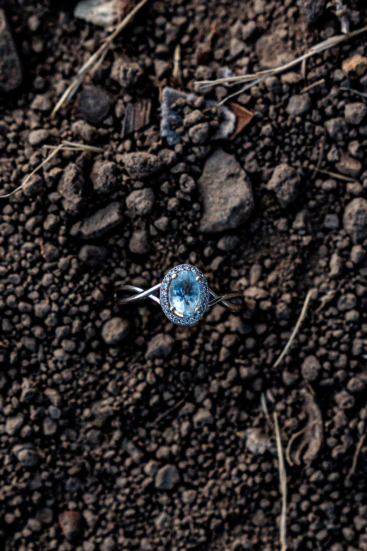 20250601_DanBergerPhotography_5817