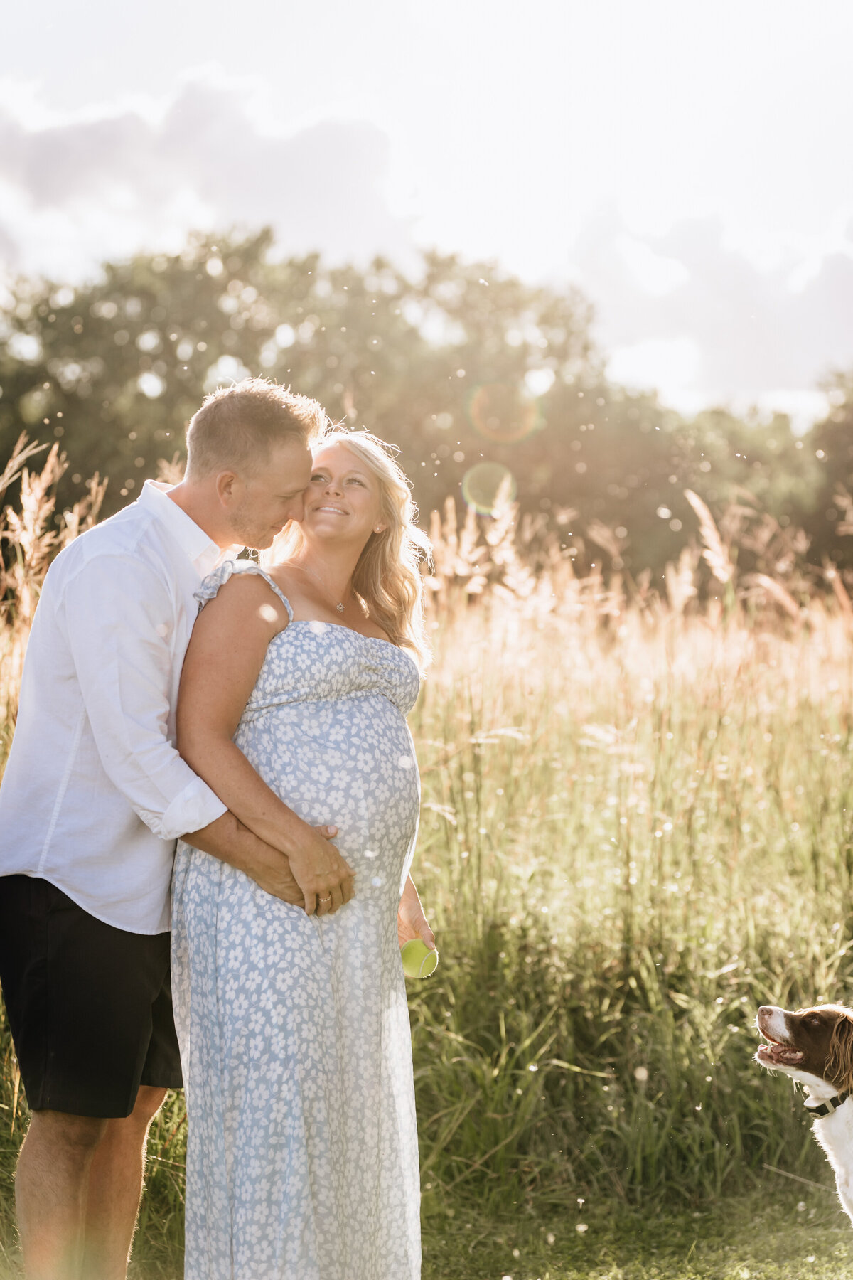 The couple stands in a sunlit field with their dog. The man, in a white shirt, leans in to kiss the pregnant woman, who is wearing a light blue floral dress.