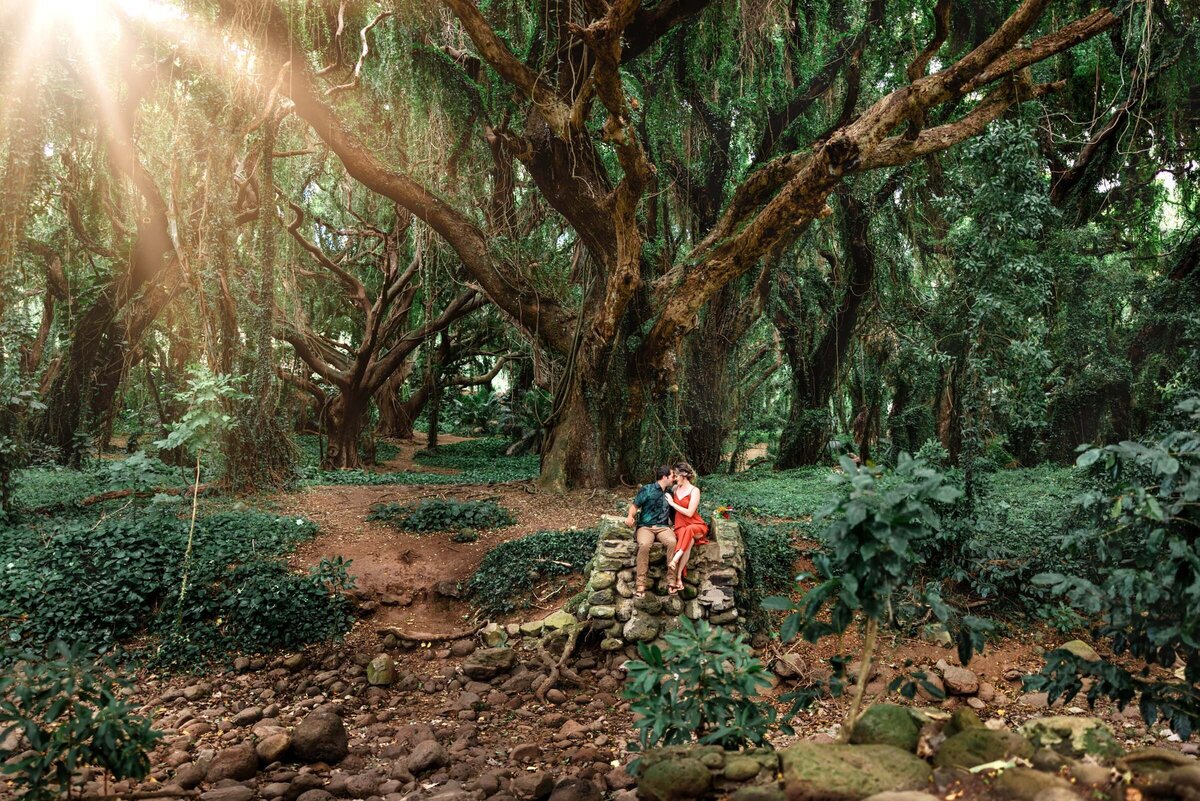 HawaiiEngagementPhoto (1)