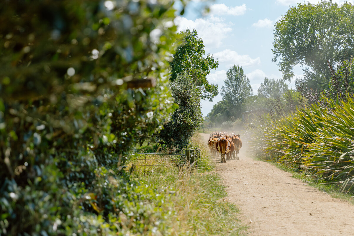 Rere_workeshop3-4-02.25-7130