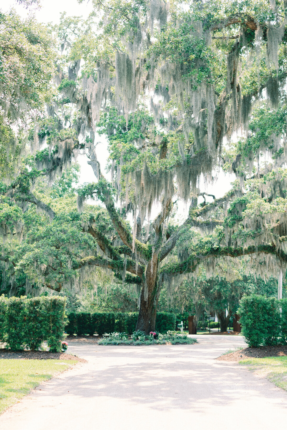 wilmington-wedding-6