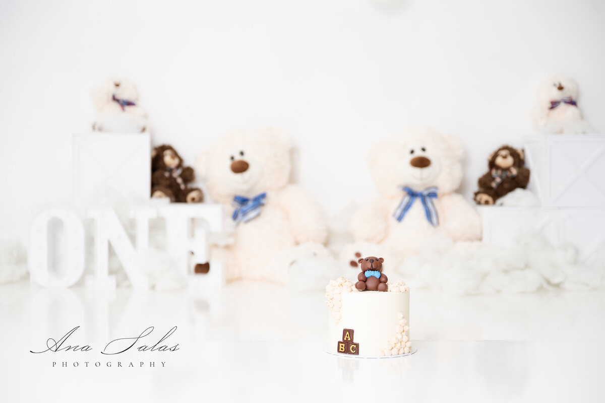 Cake-Smash-Photographer-Edmonton-7