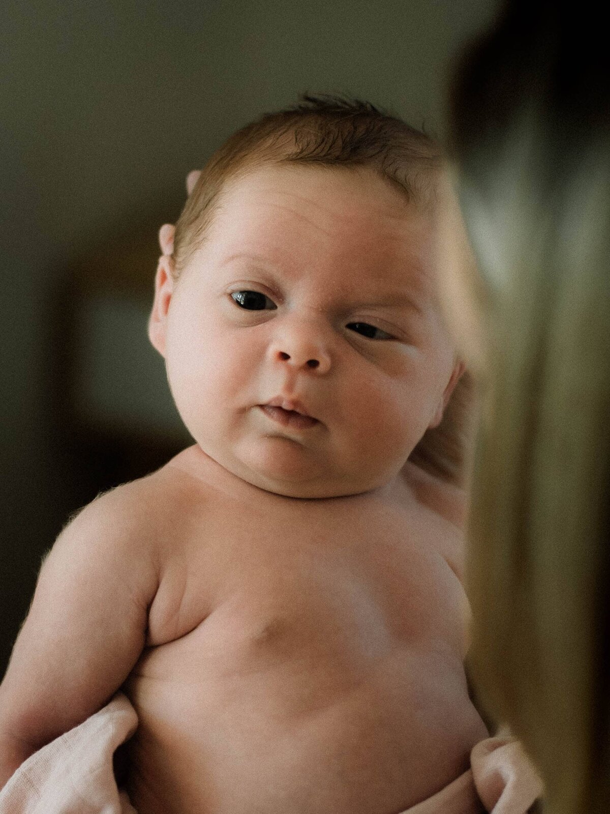 OC-newborn-photographer