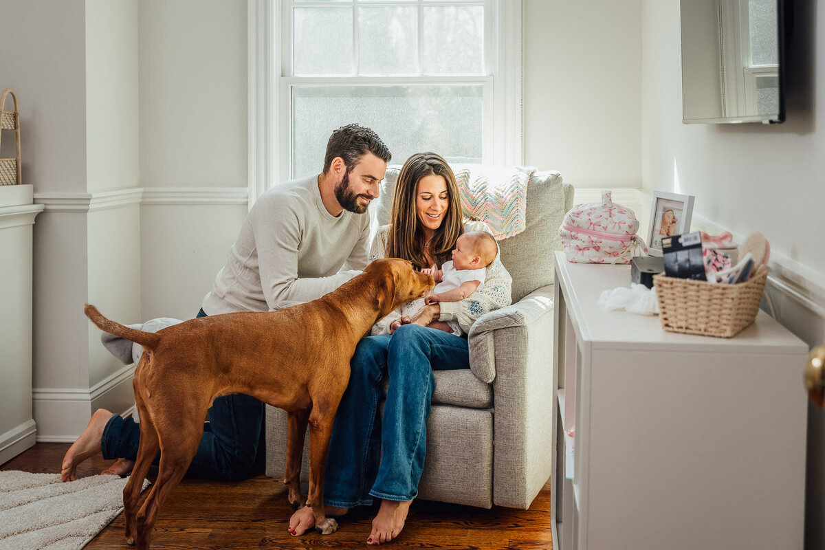 Family Photos Newborn