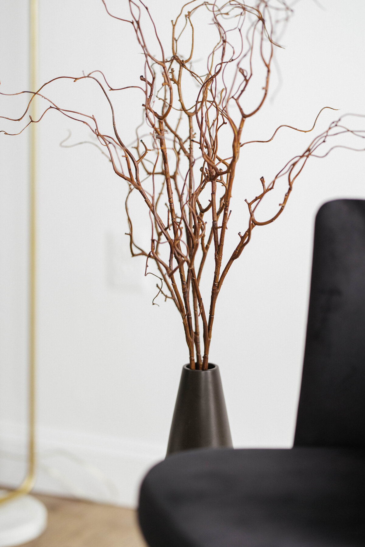 Greenville-SC-Content-Studio-9524