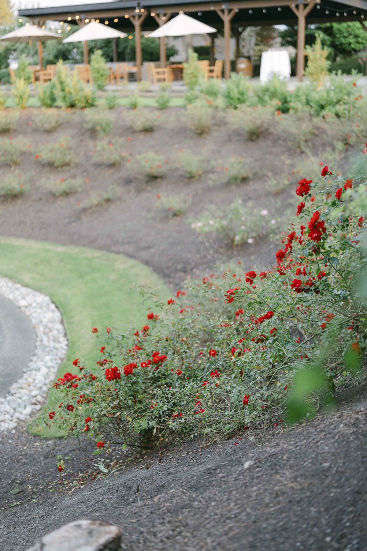 Lord Hill Farms Washington Wedding Ksenia Vasenev Photography_20240906_0155_1