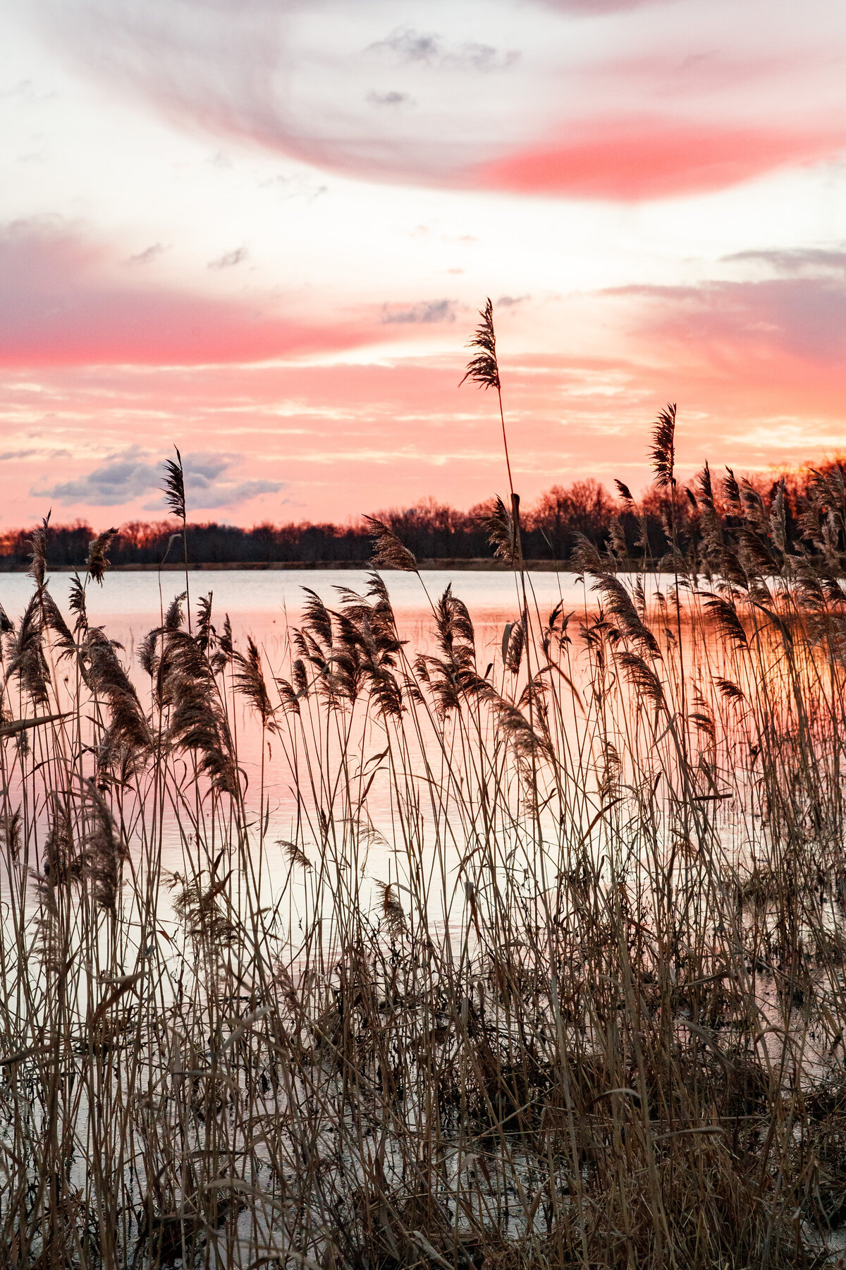 SPORT_PORTFOLIO-8673