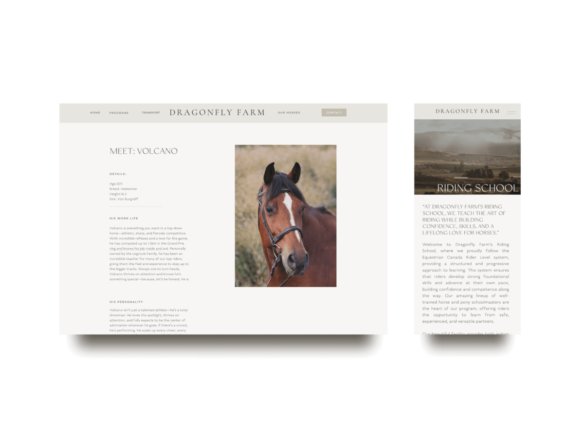Showit website Dragonfly Farm