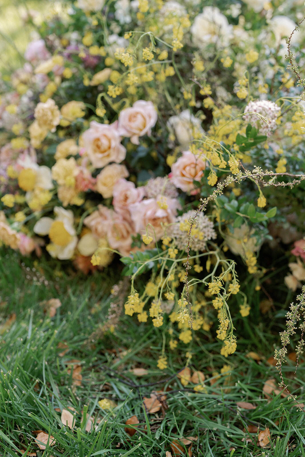 RoseFarmWorkshop--561