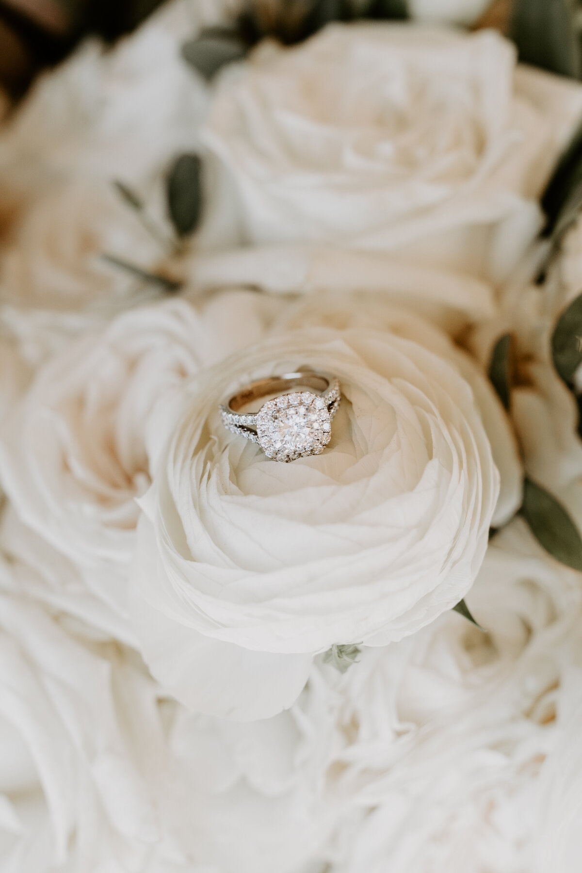 Aly Haydon Photography-383