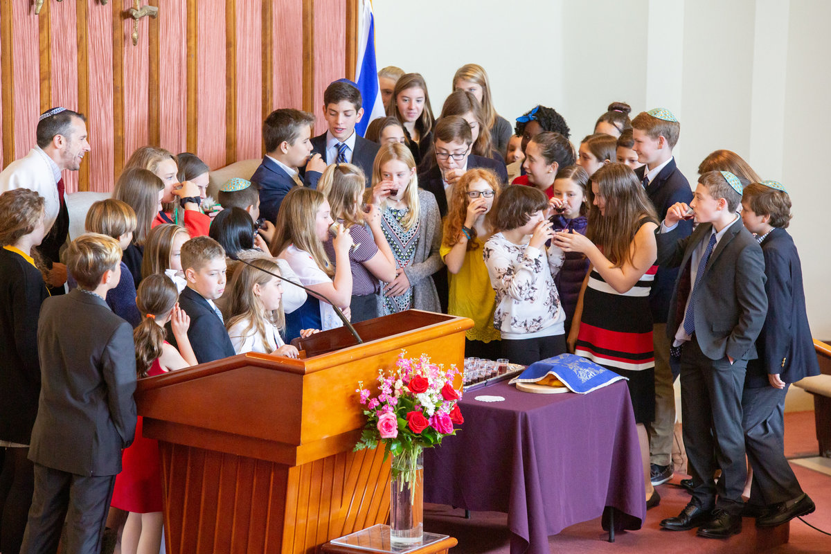 DC Bat Mitzvah