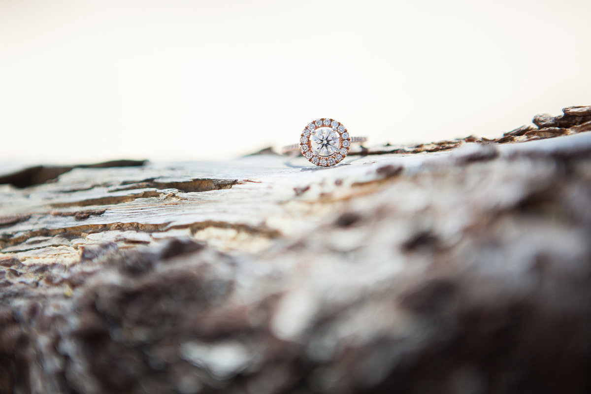MariaEvan_EngagementTahoe_50w