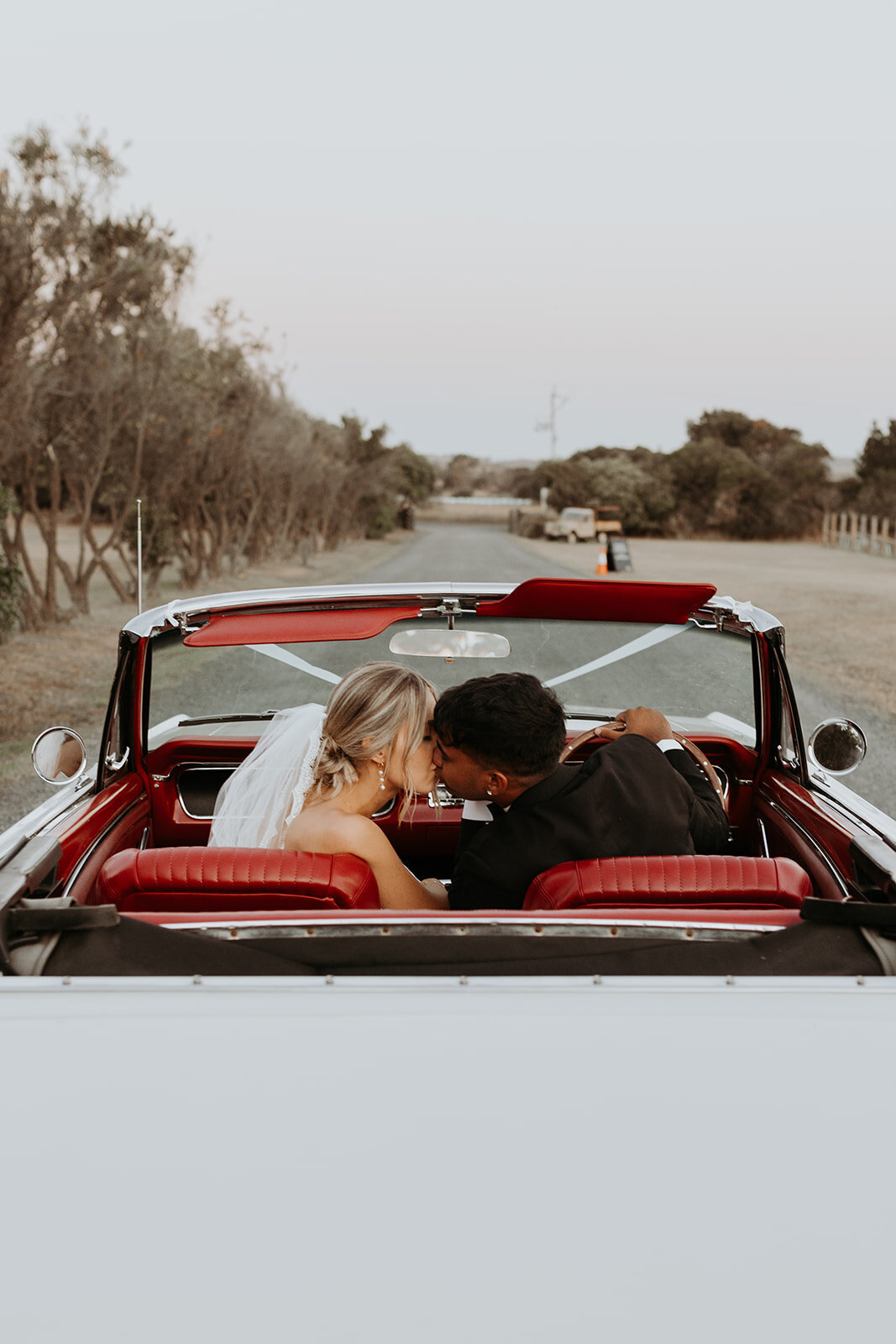 Sneak peek (183 of 195)