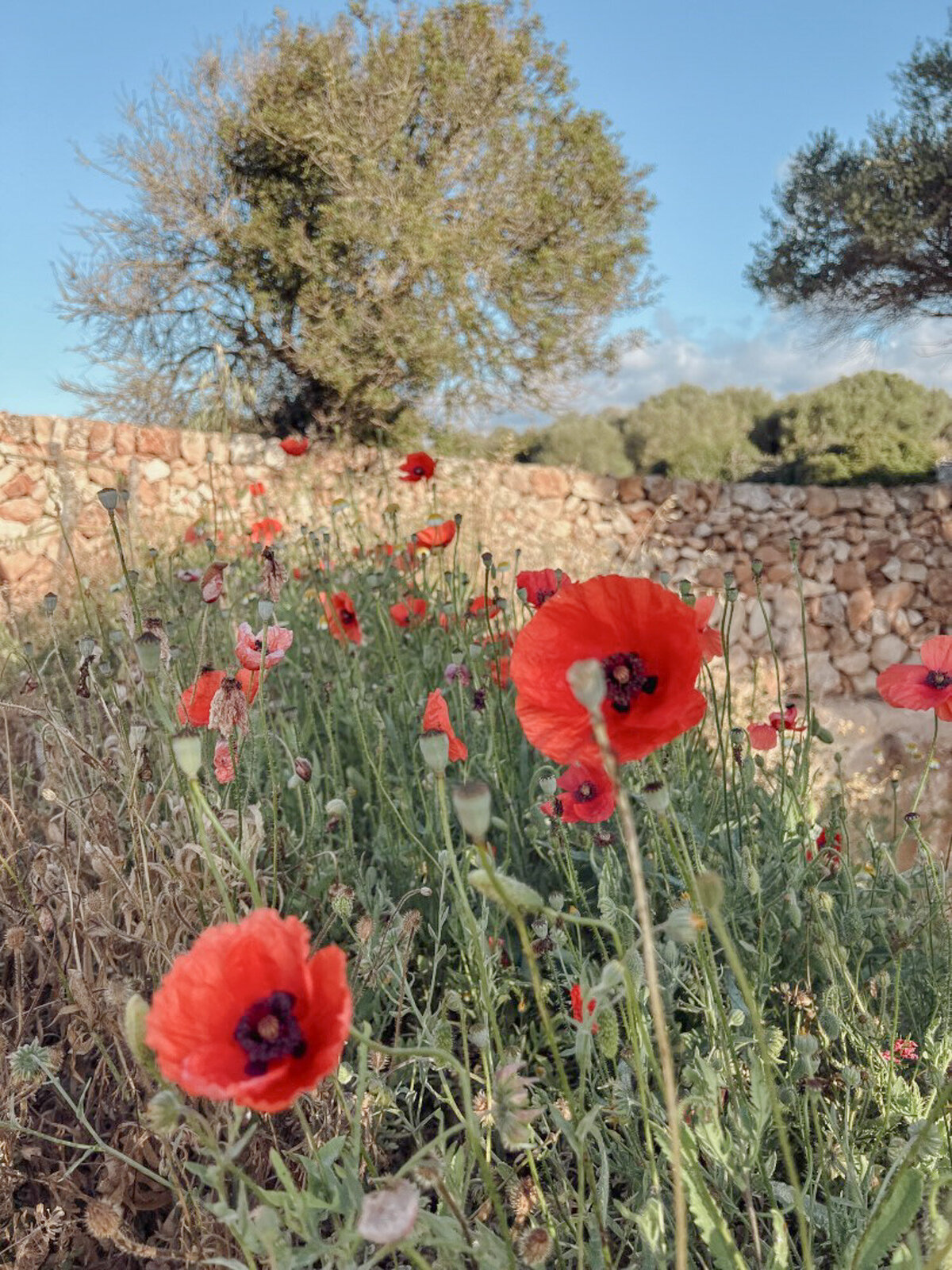 Yoga-Retreat-UK-and-Europe-13