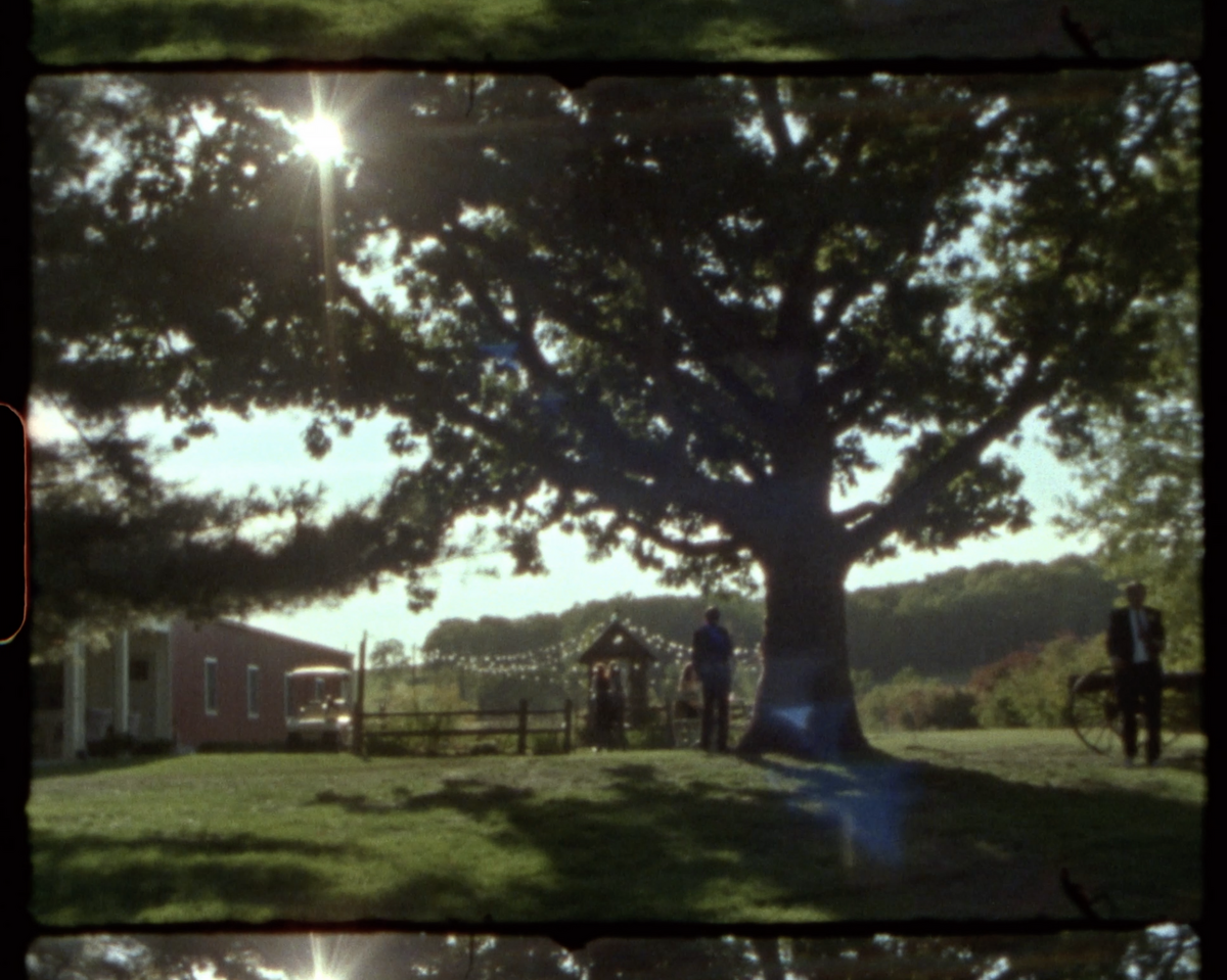 Screenshot 2025-01-20 at 4.32.21 PM