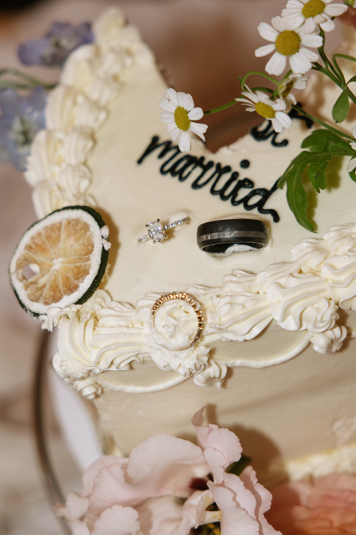 RevelWoodsPhoto-5988