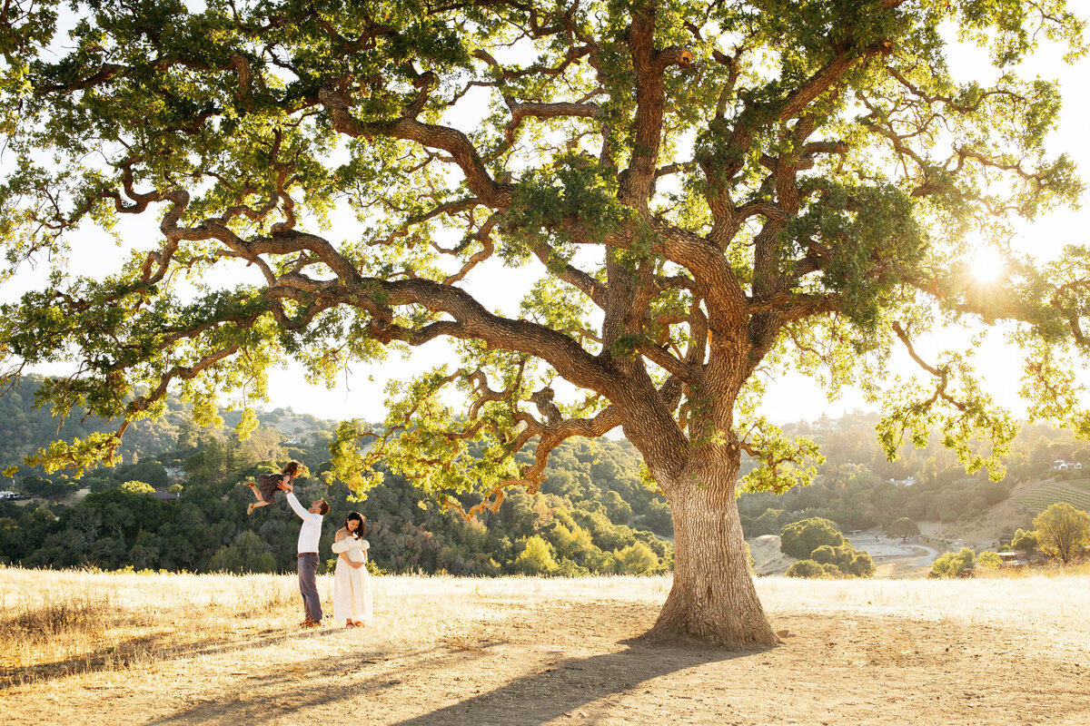 Bay-Area-Maternity-Photographer14