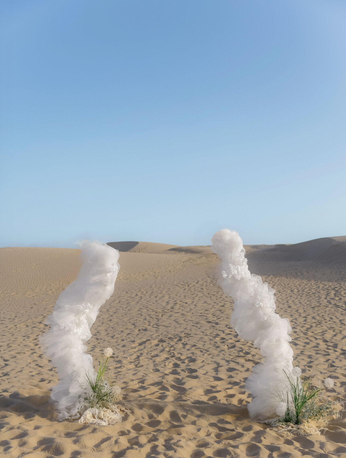 surrealism-6491