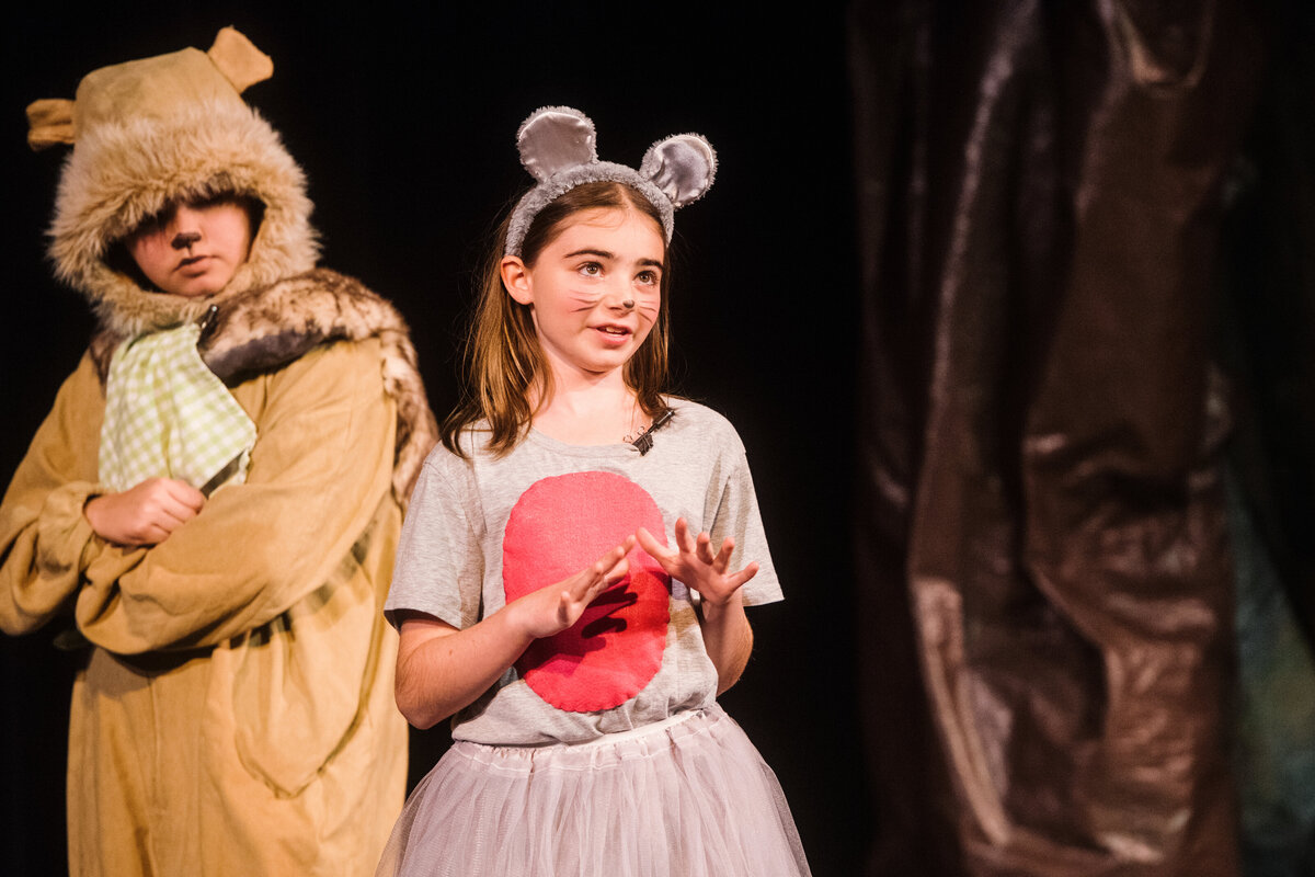 Linnea_Farnsworth_Photography_Washington_DC_Northern_Virginia_Musical_Stage_Photography_25